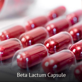 Beta Lactam Capsules